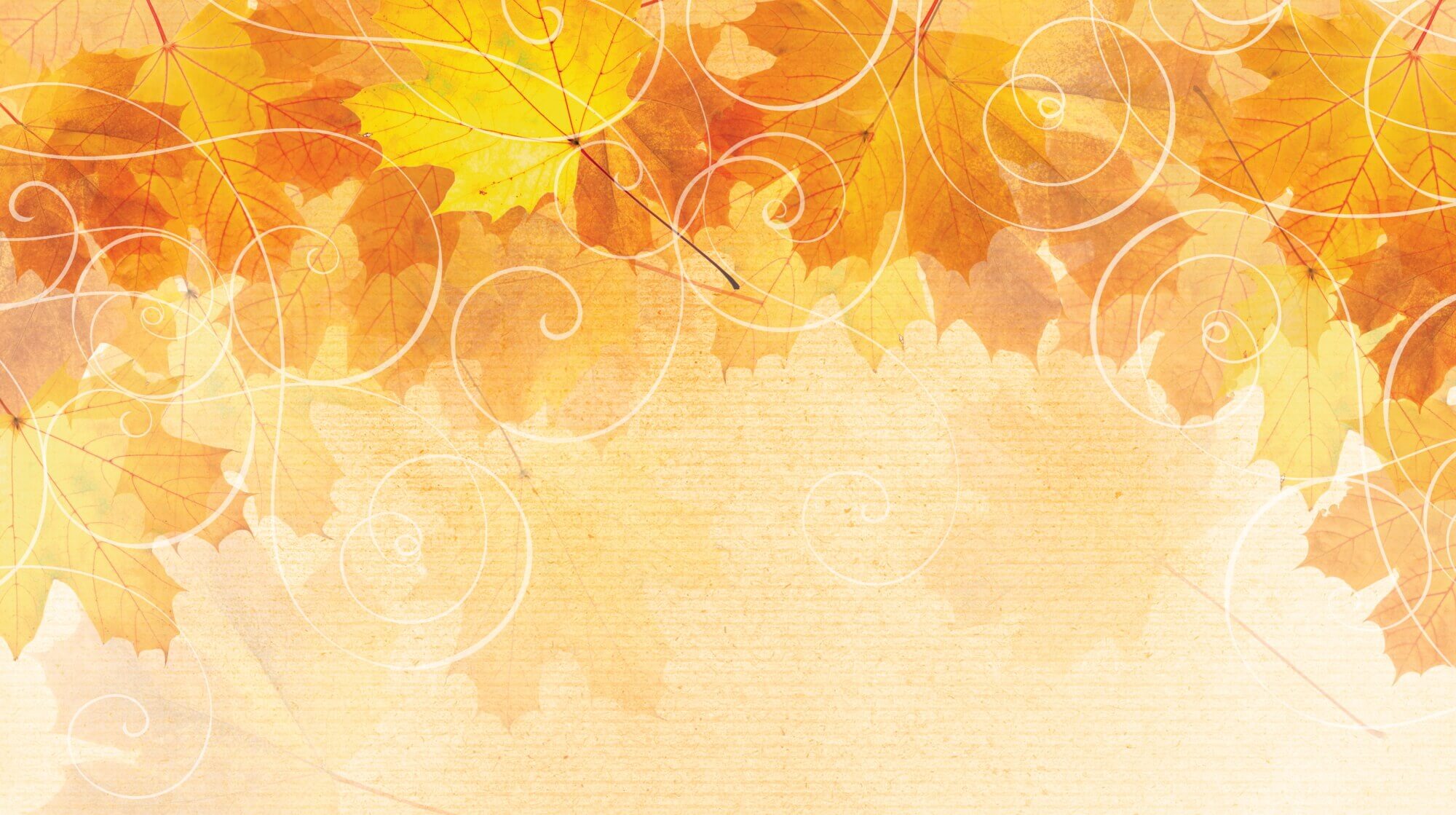 Garrys - Thanksgiving Catering Slider BG